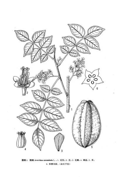 1665727840314728.jpg 1665727840314728.jpg