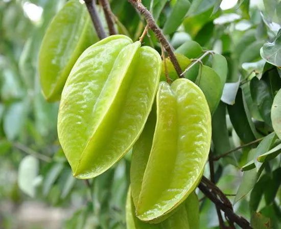 1665727879897724.jpg 1665727879897724.jpg