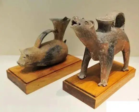 1666144826153544.jpg 1666144826153544.jpg