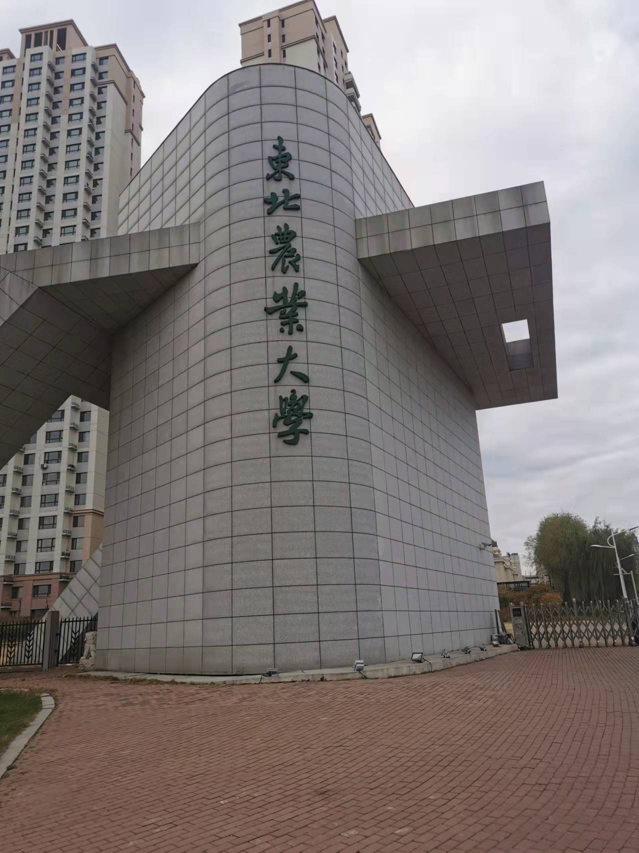 1667376509905824.jpg 1667376509905824.jpg